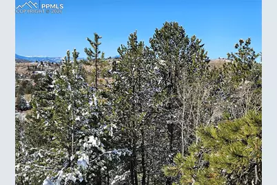 829 Princess Road, Cripple Creek, CO 80813 - Photo 14