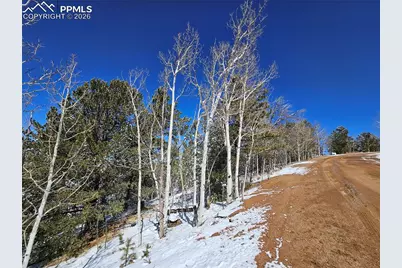 829 Princess Road, Cripple Creek, CO 80813 - Photo 4