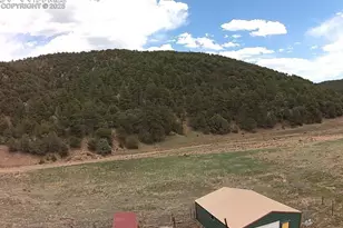 7878 County Road 28 Rd, Cotopaxi, CO 81223 - Photo 6