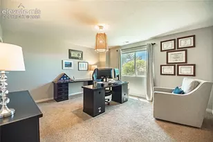 2613 Crooked Vine Ct, Colorado Springs, CO 80921 - Photo 28