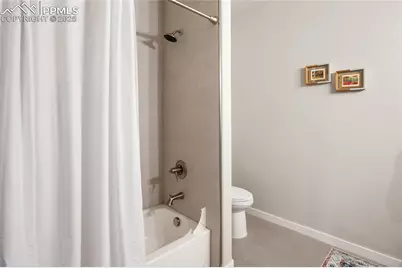 407 Meadow Park Drive, Divide, CO 80814 - Photo 42