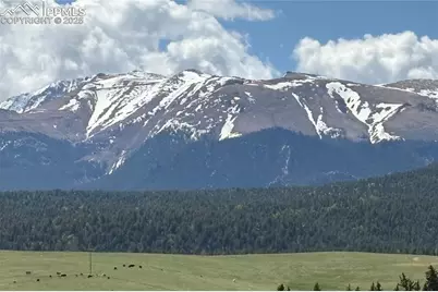 407 Meadow Park Drive, Divide, CO 80814 - Photo 16