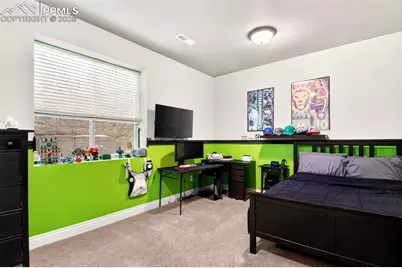 5254 Fraser Valley Lane, Colorado Springs, CO 80924 - Photo 38