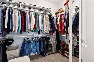 5254 Fraser Valley Ln, Colorado Springs, CO 80924 - Photo 22