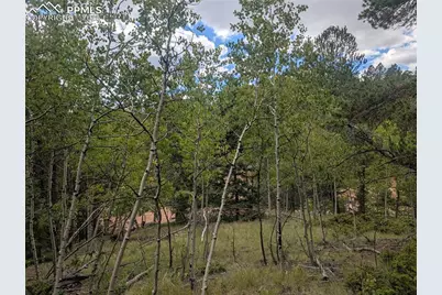 2455 Yorktown Road, Cripple Creek, CO 80813 - Photo 20