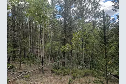 2455 Yorktown Road, Cripple Creek, CO 80813 - Photo 22