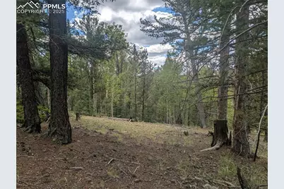2455 Yorktown Road, Cripple Creek, CO 80813 - Photo 1