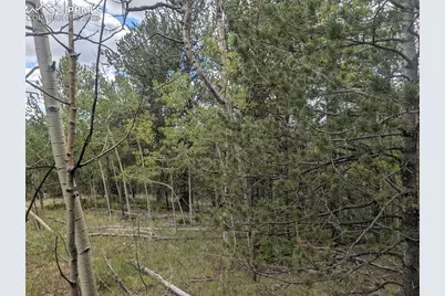 2455 Yorktown Road, Cripple Creek, CO 80813 - Photo 26