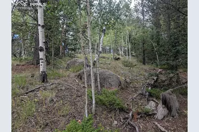 2455 Yorktown Road, Cripple Creek, CO 80813 - Photo 12