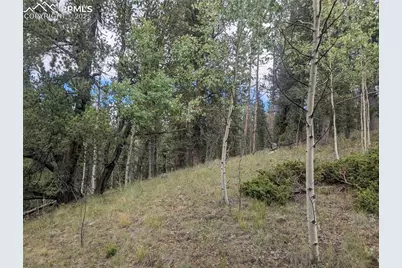 2455 Yorktown Road, Cripple Creek, CO 80813 - Photo 14