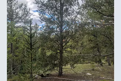 2455 Yorktown Road, Cripple Creek, CO 80813 - Photo 24