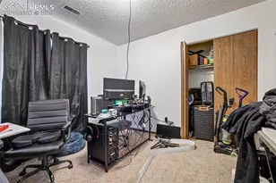 6935 Peyote Way, Colorado Springs, CO 80919 - Photo 48