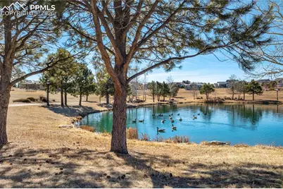 17480 Pond View Place, Colorado Springs, CO 80908 - Photo 48