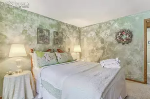 310 Tam O Shanter Way, Monument, CO 80132 - Photo 32