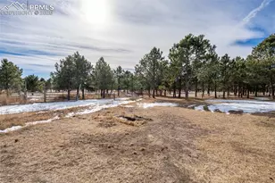 16350 Great Smokey Ave, Elbert, CO 80106 - Photo 44