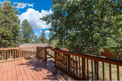 1625 N Mountain Estates Road, Florissant, CO 80816 - Photo 6