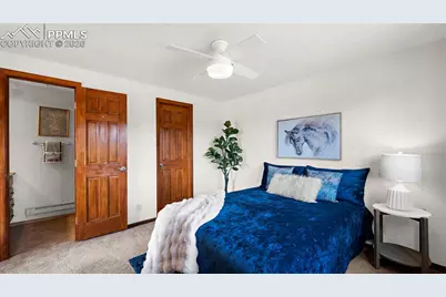 950 Southpark Road, Florissant, CO 80816 - Photo 16