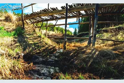 977 County Road 61, Divide, CO 80814 - Photo 16