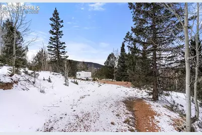 977 County Road 61, Divide, CO 80814 - Photo 8