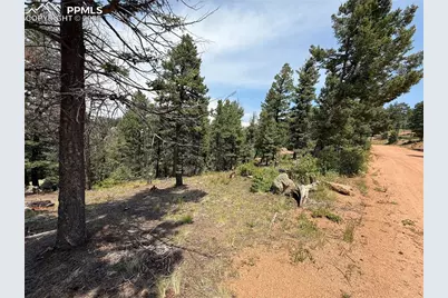 3546 N Mountain Estates Road, Florissant, CO 80816 - Photo 4