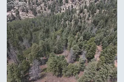 3546 N Mountain Estates Road, Florissant, CO 80816 - Photo 14