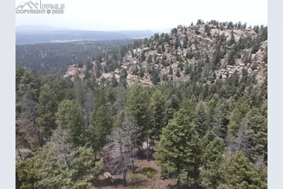 3546 N Mountain Estates Road, Florissant, CO 80816 - Photo 16