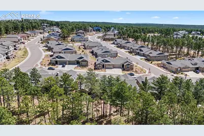 16464 Woodward Terrace, Monument, CO 80132 - Photo 8