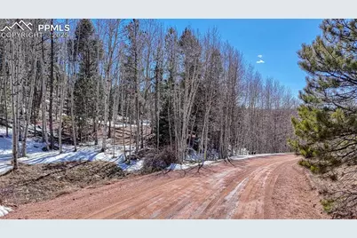 542 Vivenda Road, Cripple Creek, CO 80813 - Photo 18