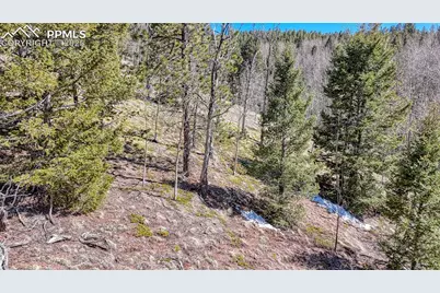 542 Vivenda Road, Cripple Creek, CO 80813 - Photo 20