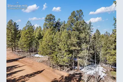 810 Ridge Road, Divide, CO 80814 - Photo 14