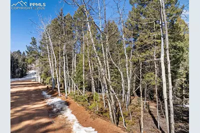810 Ridge Road, Divide, CO 80814 - Photo 8
