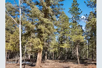 810 Ridge Road, Divide, CO 80814 - Photo 16