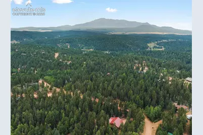 810 Ridge Road, Divide, CO 80814 - Photo 22