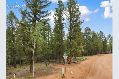 810 Ridge Road, Divide, CO 80814 - Photo 12