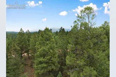 810 Ridge Road, Divide, CO 80814 - Photo 32