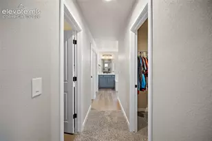 3938 Ryedale Wy, Colorado Springs, CO 80922 - Photo 20