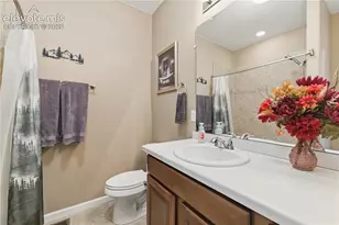7127 Mountain Spruce Dr, Colorado Springs, CO 80927 - Photo 28
