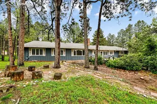 19070 White Fawn Dr, Monument, CO 80132 - Photo 6