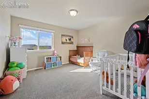 6646 Backcountry Loop, Colorado Springs, CO 80927 - Photo 24