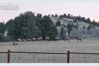 350 High Pasture Road, Florissant, CO 80816 - Photo 2