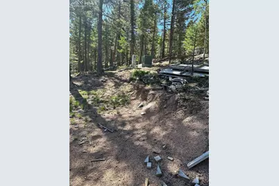 67 Gerka Lane, Florissant, CO 80816 - Photo 2