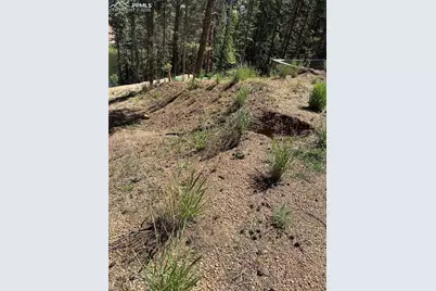 67 Gerka Lane, Florissant, CO 80816 - Photo 1