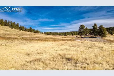 150 High Pasture Road, Florissant, CO 80816 - Photo 8