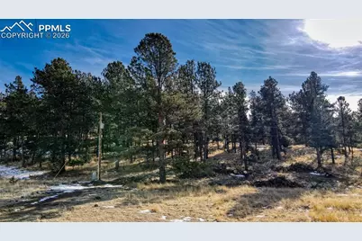 150 High Pasture Road, Florissant, CO 80816 - Photo 10