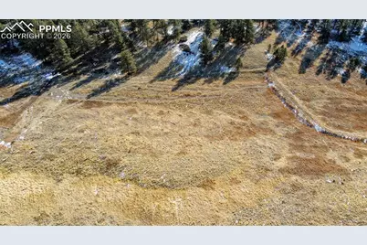 150 High Pasture Road, Florissant, CO 80816 - Photo 6