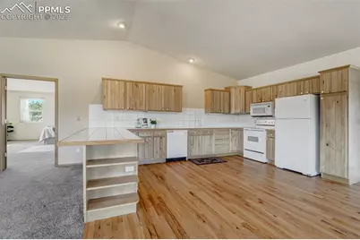 115 White Tail Lane, Florissant, CO 80816 - Photo 10