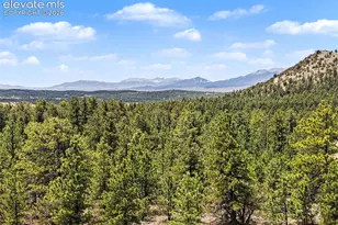 610 Matterhorn Circle, Westcliffe, CO 81252 - Photo 46