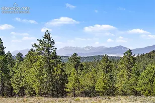 610 Matterhorn Circle, Westcliffe, CO 81252 - Photo 4