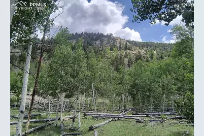 2674 County Road 333, Hartsel, CO 80449 - Photo 16