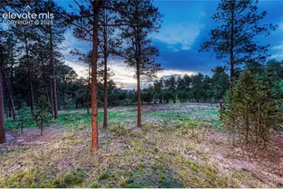 16152 Timber Meadow Drive, Colorado Springs, CO 80908 - Photo 40